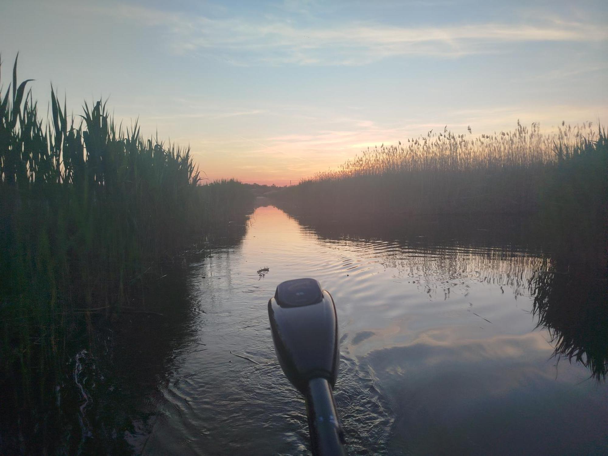 Pfahlbau Sunset I Toplage Elektroboot Inklusive 루스트 외부 사진