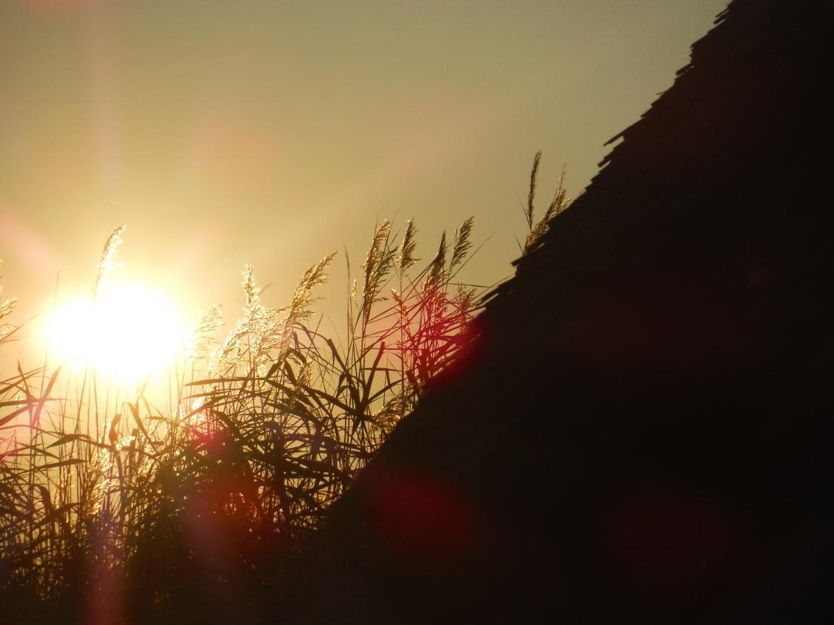 Pfahlbau Sunset I Toplage Elektroboot Inklusive 루스트 외부 사진