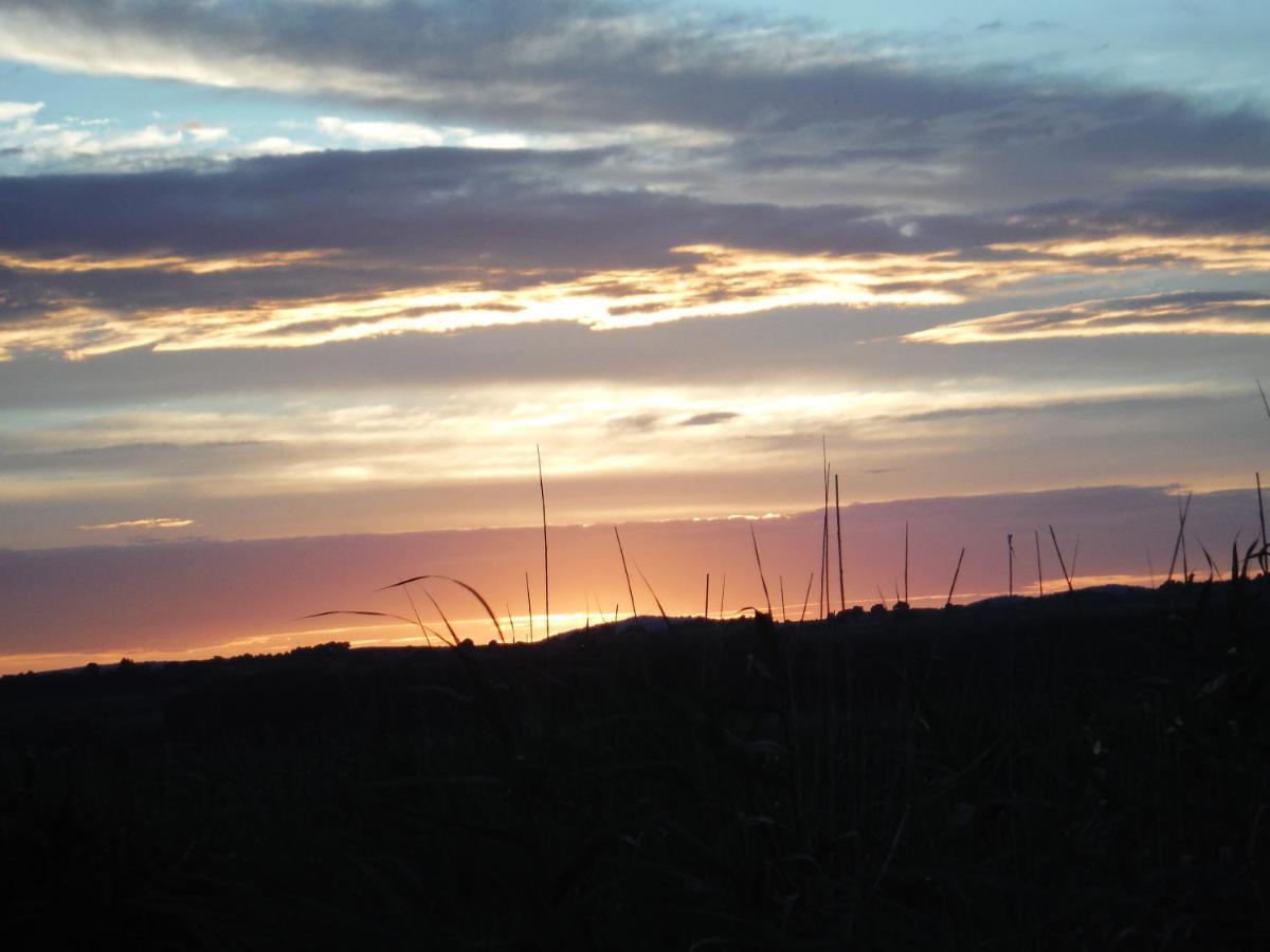 Pfahlbau Sunset I Toplage Elektroboot Inklusive 루스트 외부 사진