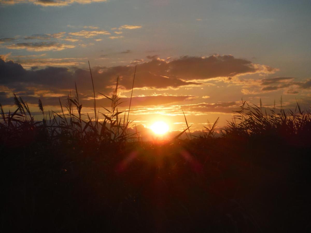 Pfahlbau Sunset I Toplage Elektroboot Inklusive 루스트 외부 사진